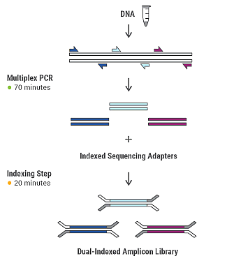 Amplicon Panel Based Ngs Target Enrichment