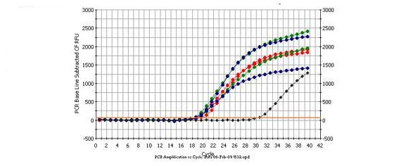 RNA/DNA Purification Kits (Cat. 48700, 50300)