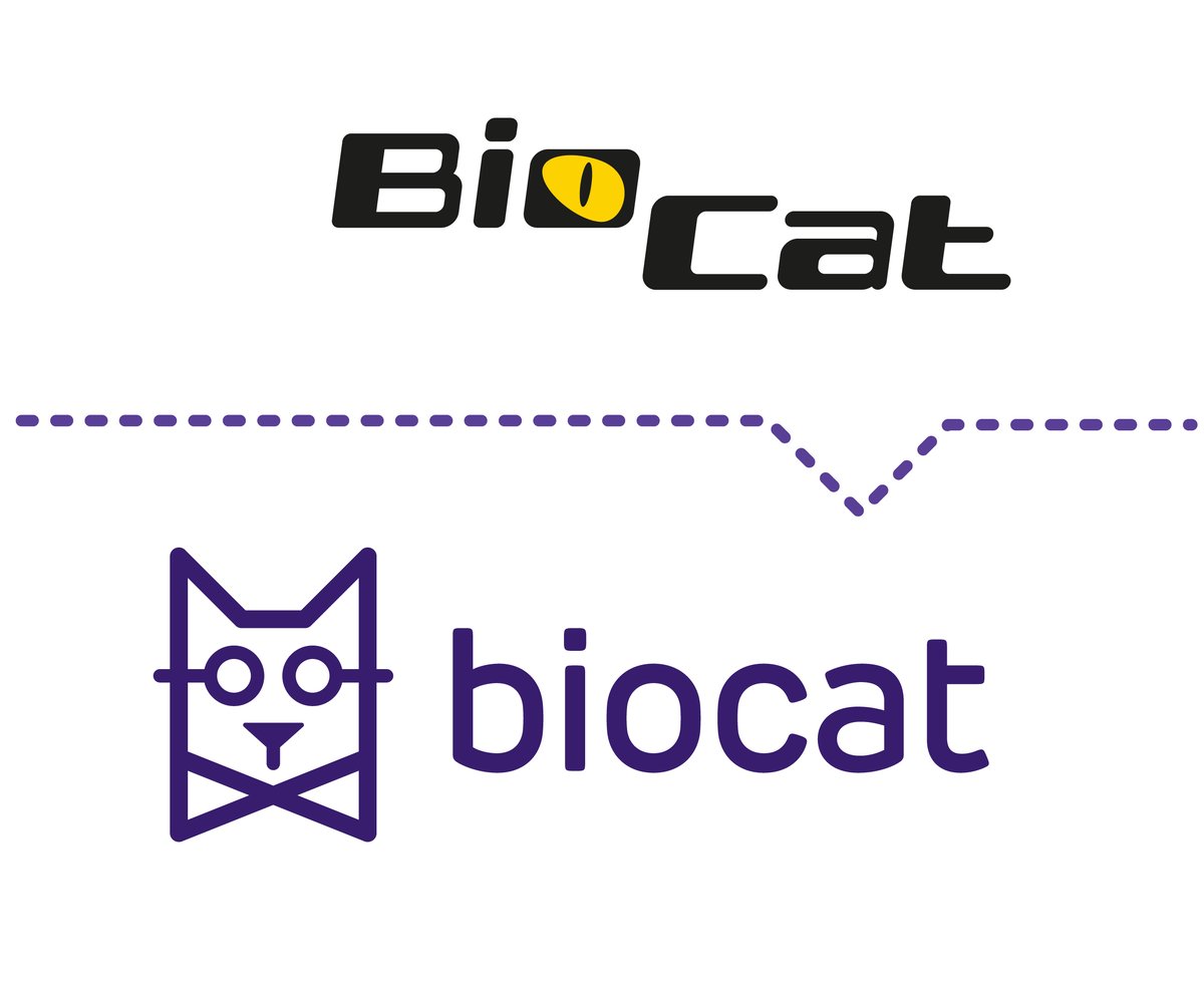 BC_homepage_LOGOS_030826_EK-01-15