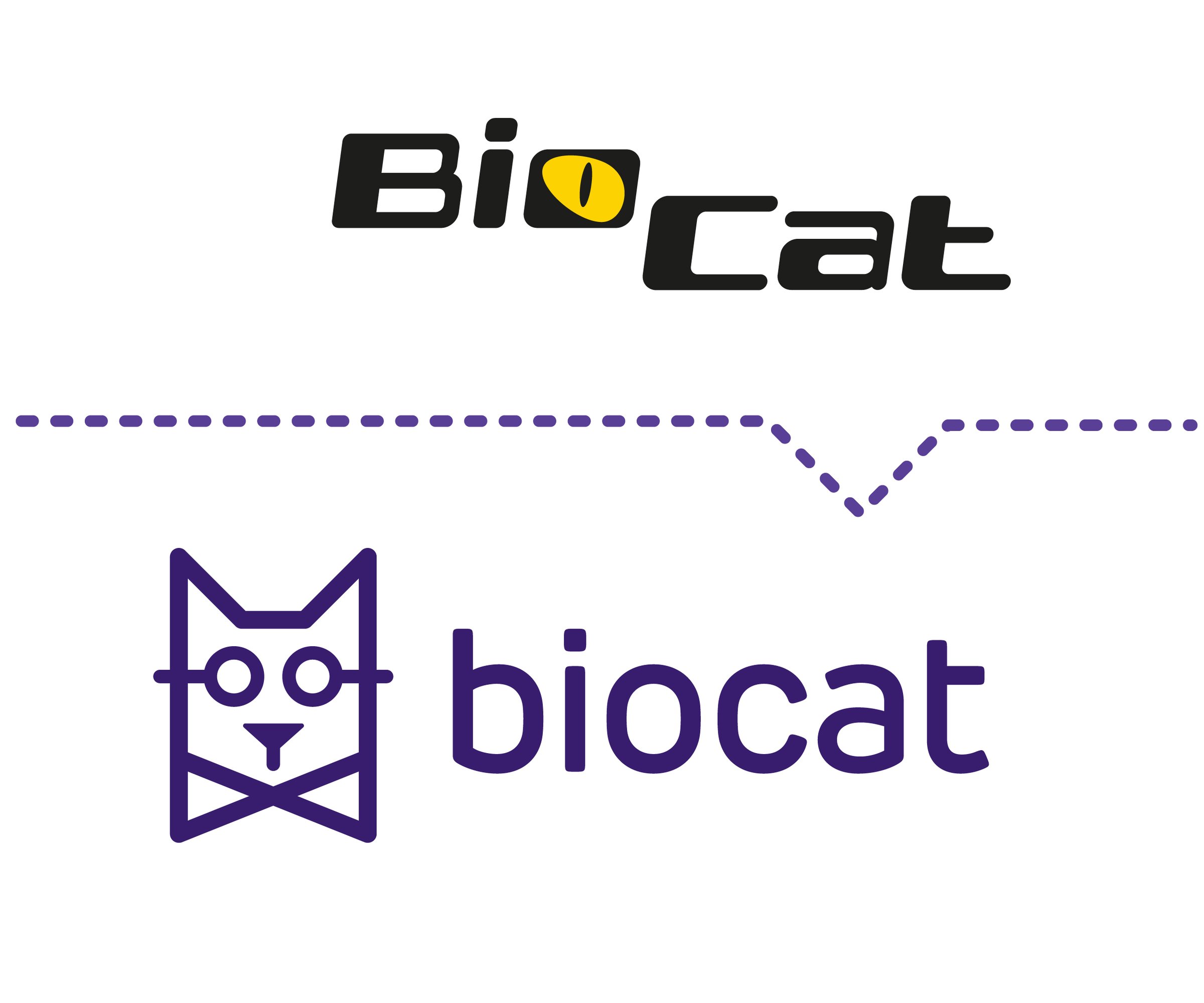 BC_homepage_LOGOS_030826_EK-01-15
