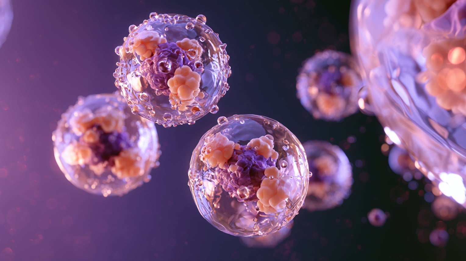04__e_m_k_create_three_exosomes._the_exosomes_are_shown_big_in_th_5bcc1835-ea01-4c86-b0e5-3d4c3e843995_1_150