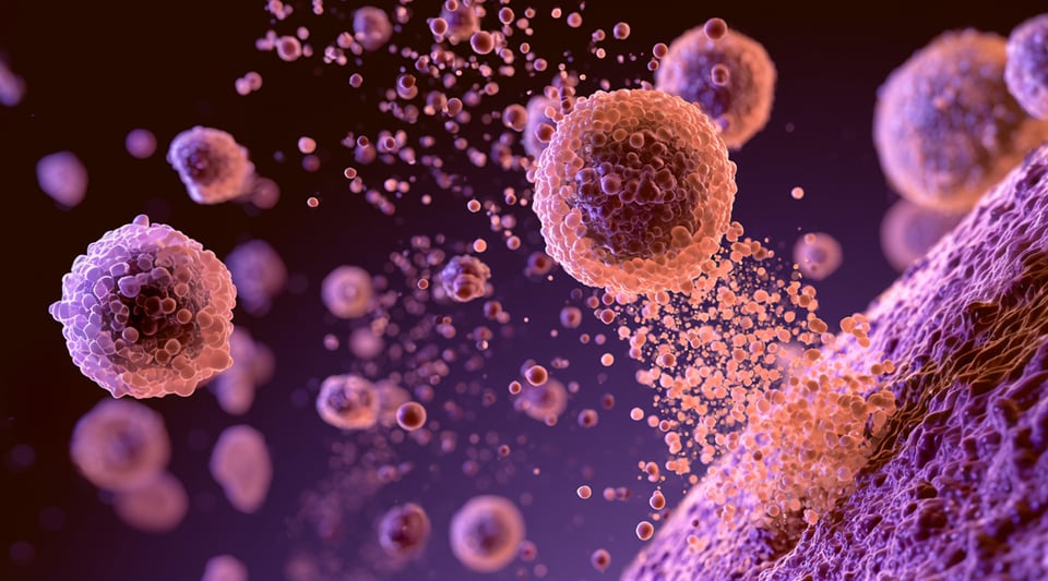 BC_WEB_EXOSOMES_HEADER_HOME_080826_EK-05-25