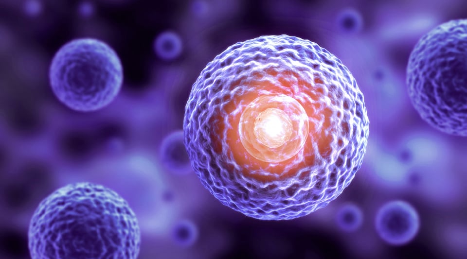 BC_WEB_EXOSOMES_HEADER_ISOLATION_080826_EK-05-26