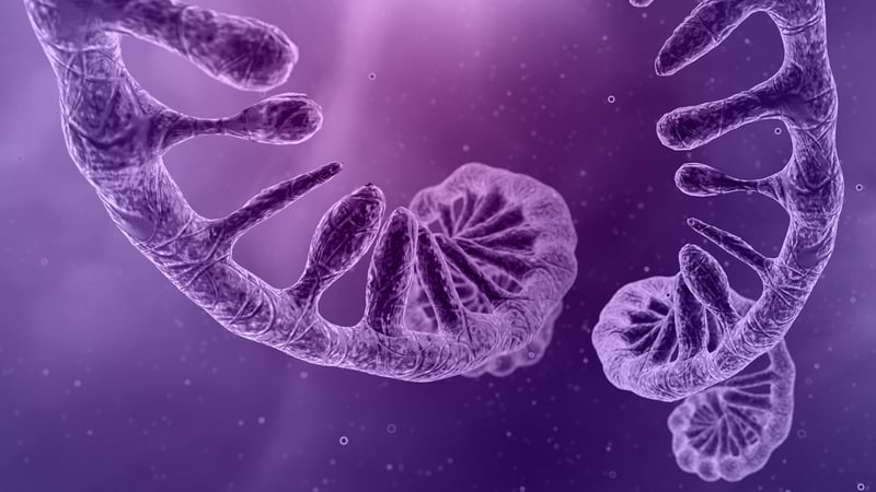 01_AdobeStock_462088391_1920