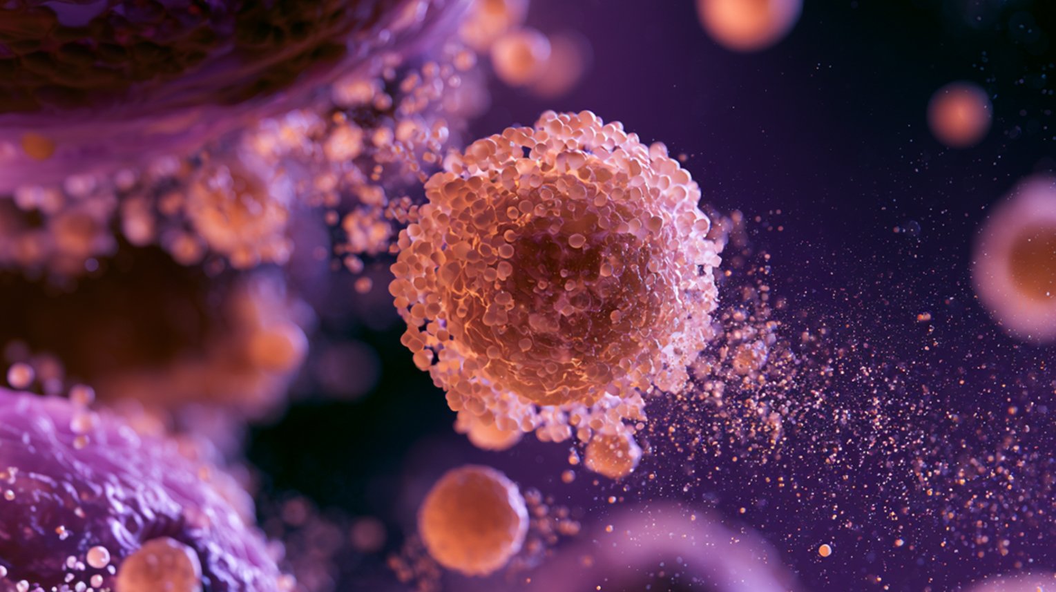 05_e_m_k_create_a_loose_stream_of_medium_sized_exosomes_released_5e5ffb3c-aa30-47ed-b680-8a7e5b05bbfd_3
