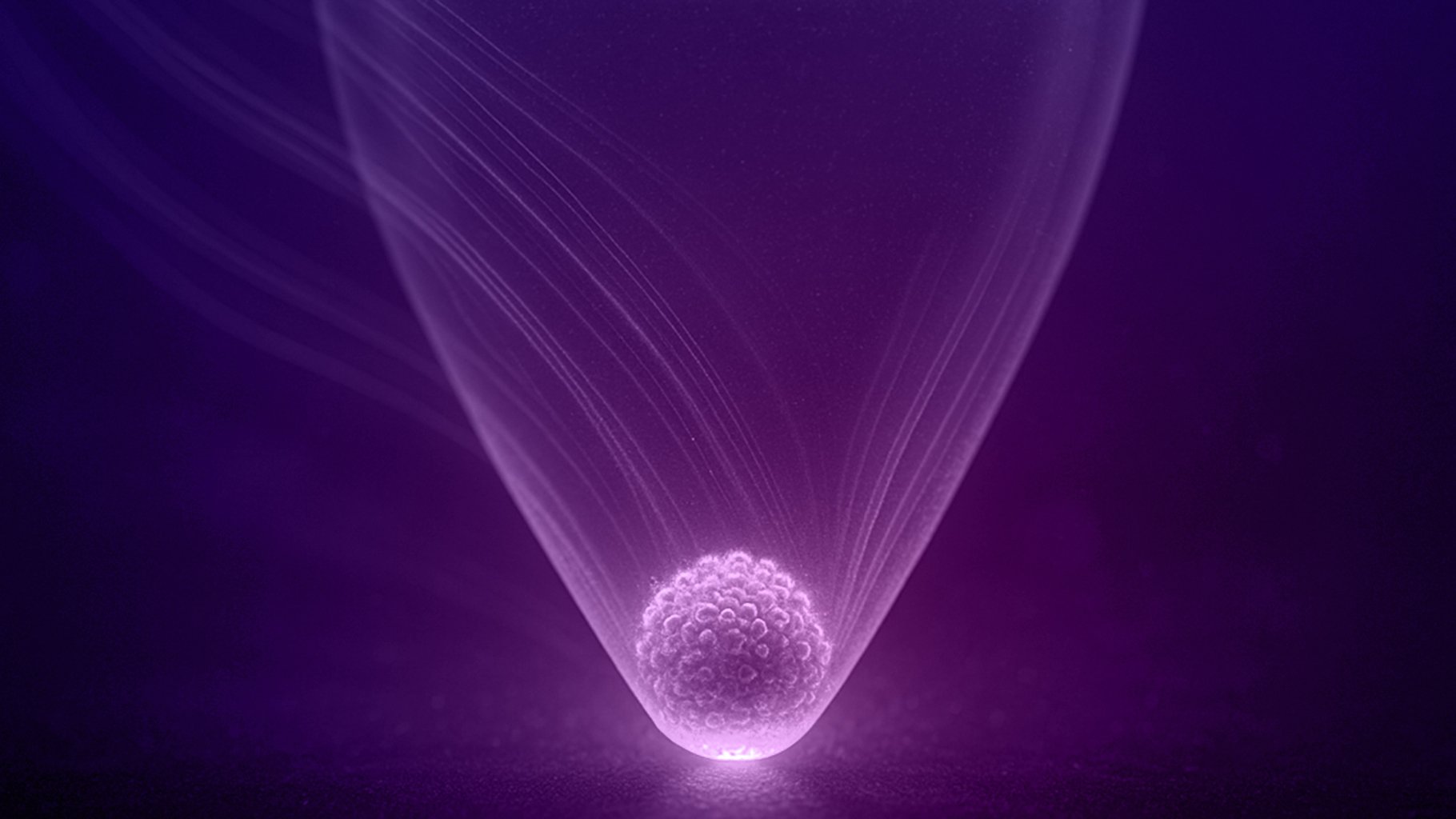 01_dUC_purple