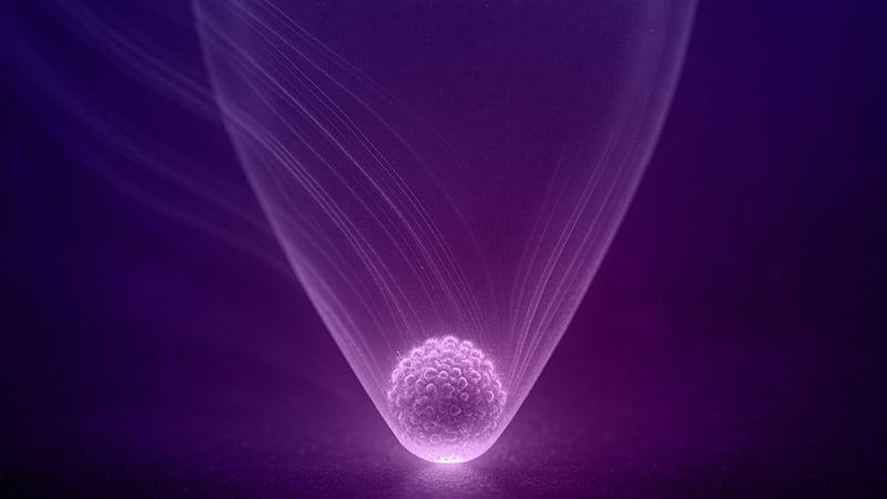 01_dUC_purple