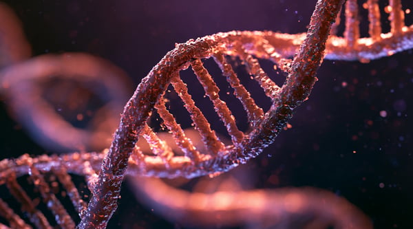 BC_web_gene synthesis_ACADEMIC PRICING_080826_EK-05 Kopie-08