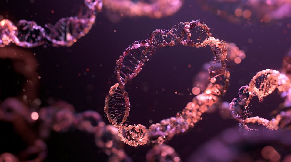 BC_web_gene synthesis_GENE SYNTHESIS_080826_EK-05 Kopie-06
