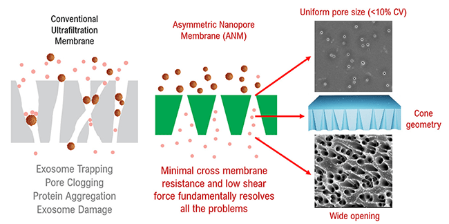 NanoEx_asymetric-nanopore-technology_650px