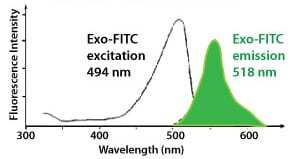Proprietary, reversible Exo-FITC is optimized for Exo-Flow Capture Kits