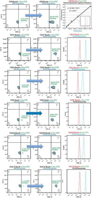 Highly selective exosome isolation by FACS