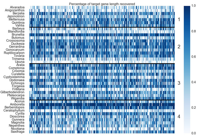 Angio353 Fig3 Heatmap 700