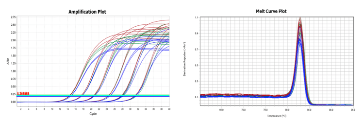 Blazetaq Two Step Rt Qpcr Amplification