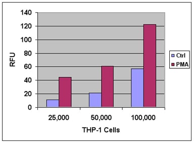 Cba 210 Fig 2