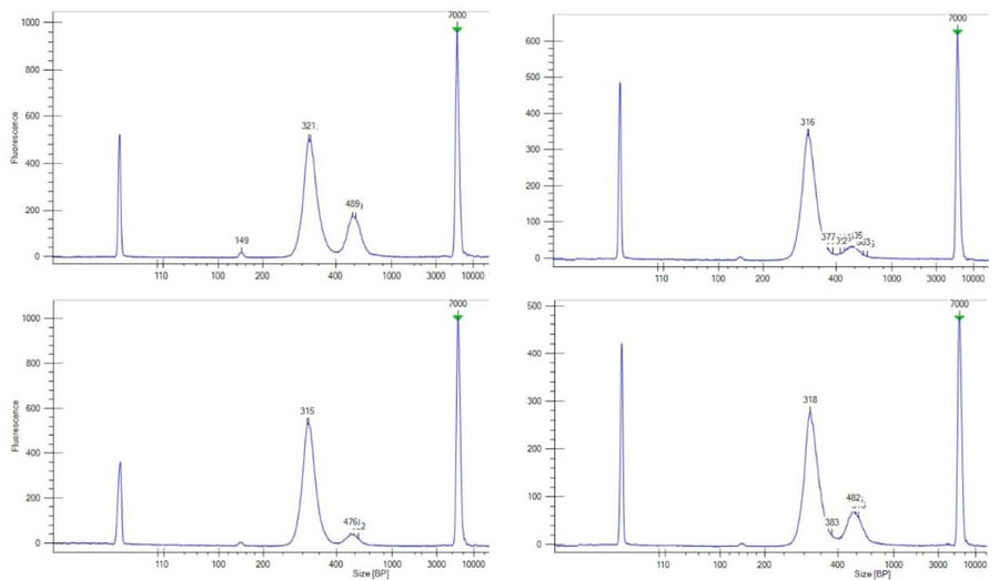 Cell Free Dna Seq Kit Library Size Analysis