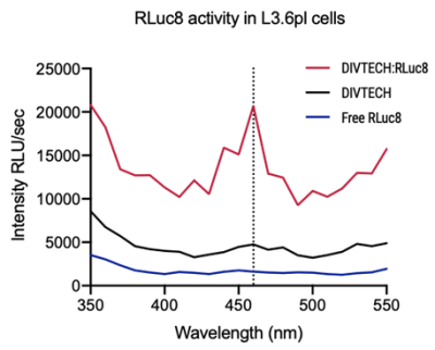 Div031 Intracellular Delivery Rluc8 Protein