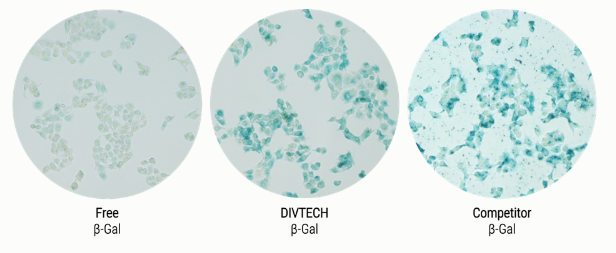 Diversa Beta Gal Delivery