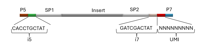 Example Library Nex Udi Umi Adapters
