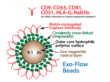 Exo Flow Beads Png 8