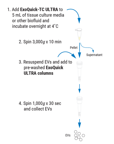 Exoquick Tc Ultra Workflow
