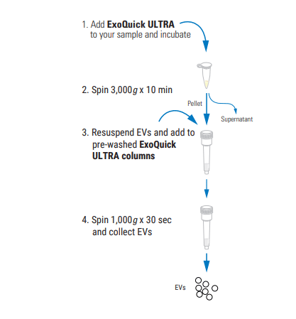 Exoquick Ultra Workflow Prodsheet