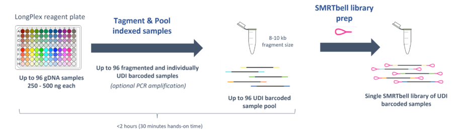 Longplex Molecular Workflow 1 1024x301