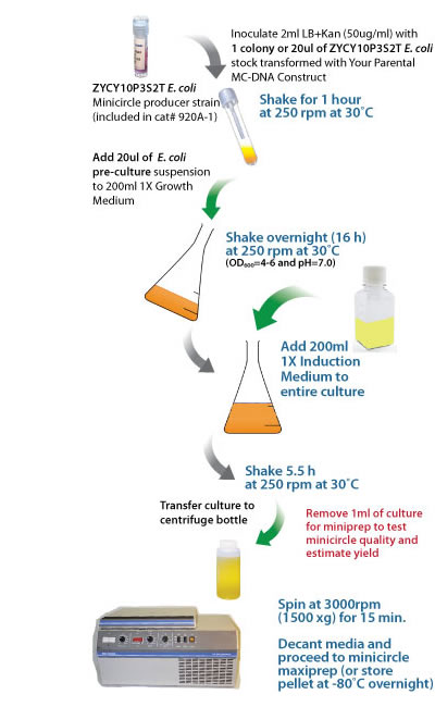 Mceasy Flowchart Optim 400re
