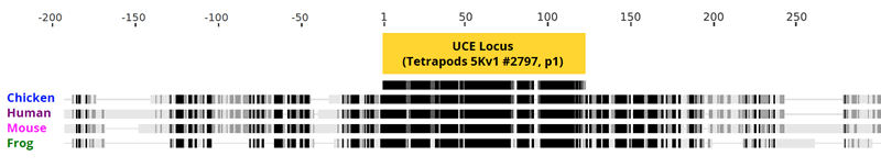 Mybaits Uce Alignment Fig 1