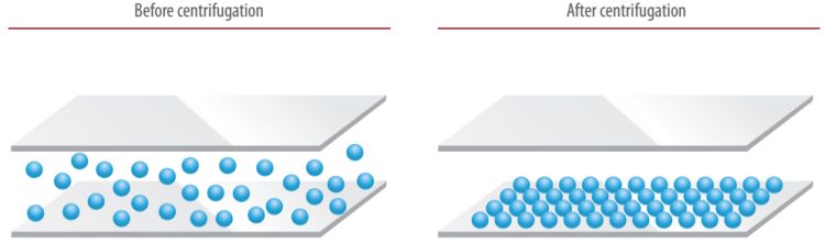 Quantom Uniform Distribution Immobilization