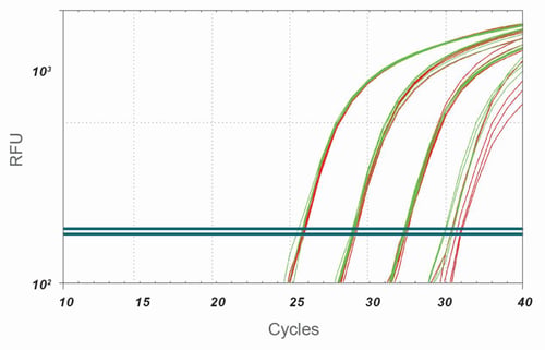 Rapidxfire Taq Polymerase Activation Time