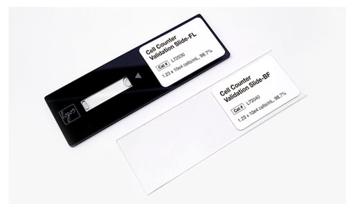 Validation Slides Web