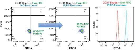 Highly selective exosome isolation by FACS using anti-CD31