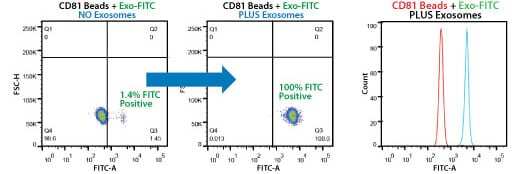 Highly selective exosome isolation by FACS using anti-CD81