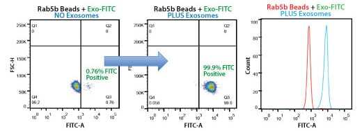 Highly selective exosome isolation by FACS using anti-Rab5b