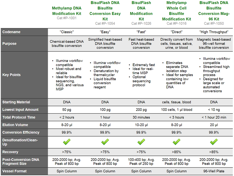 DNA Methylation Analysis