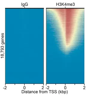 13 0042 Heatmap 300