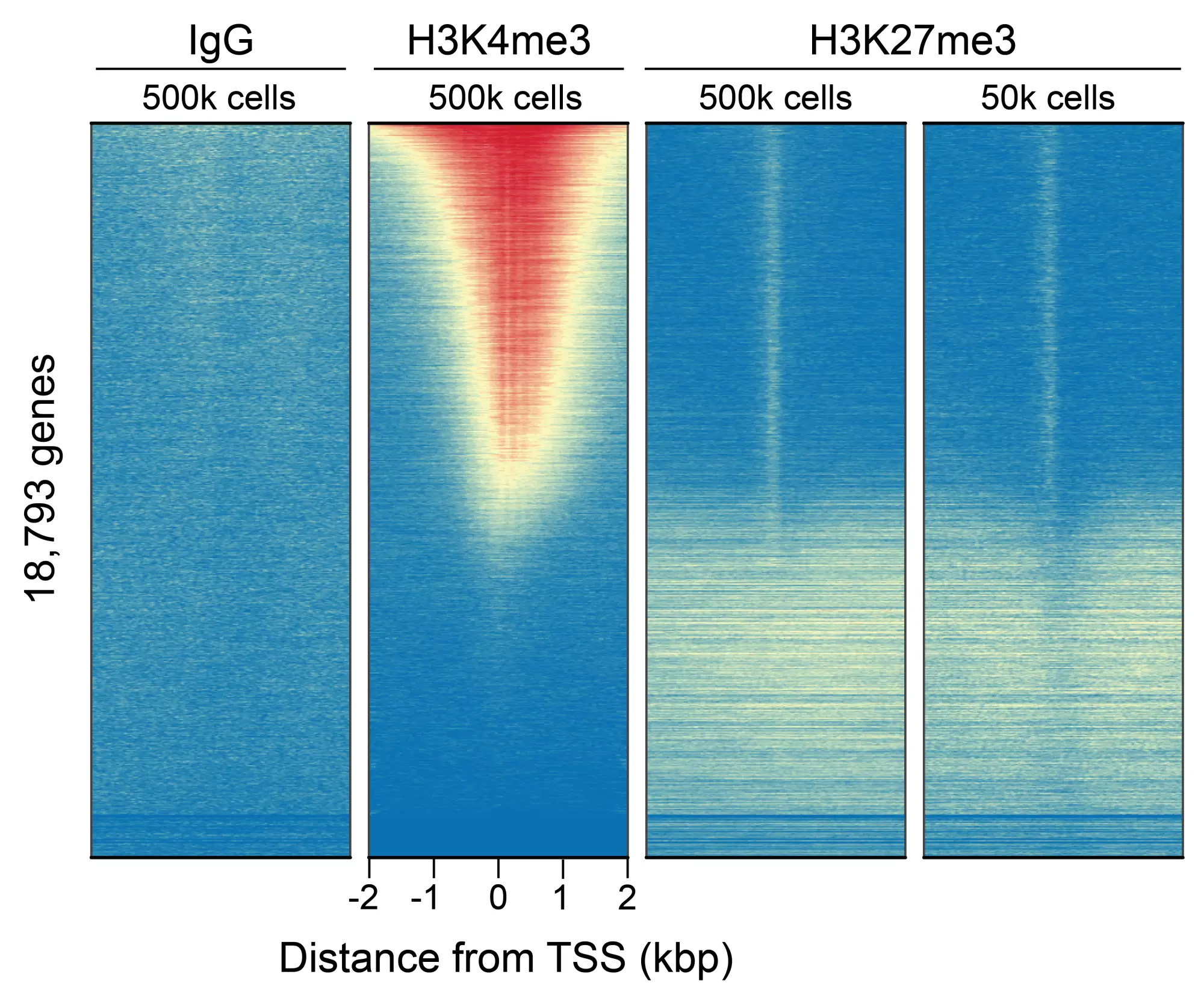 13 0055 Cut And Run Genome Wide Enrichment Fig5