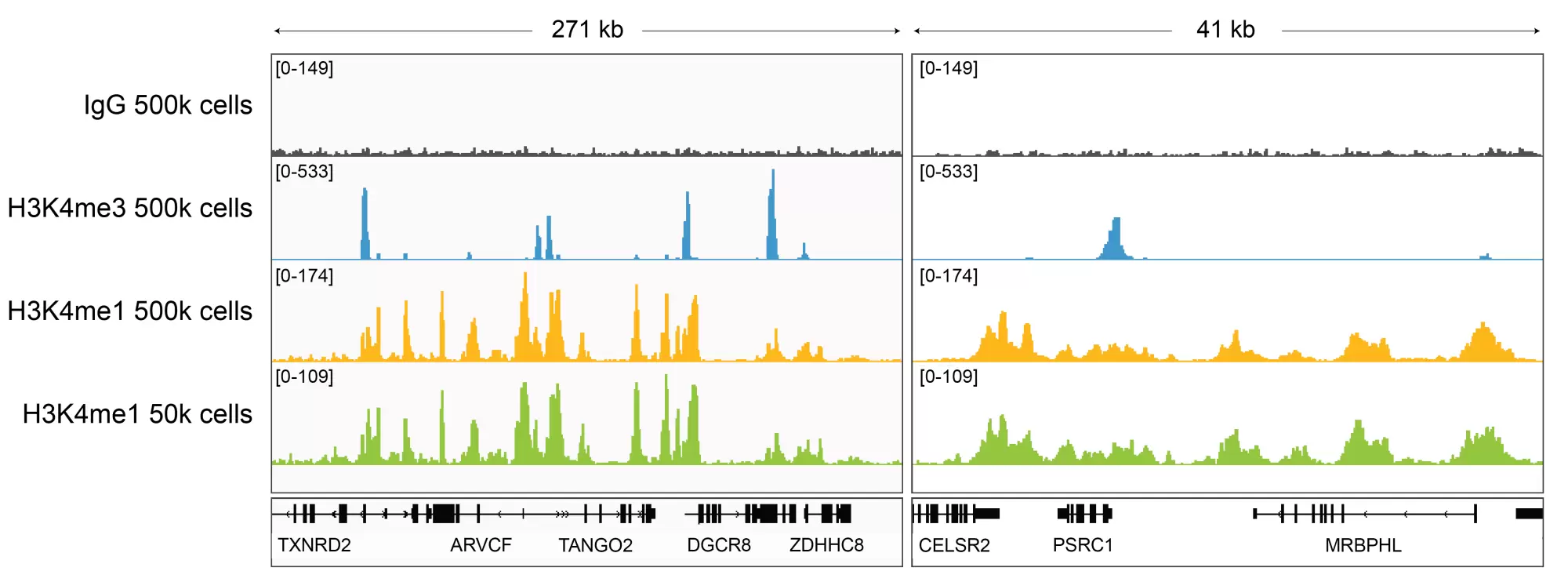 13 0057 Cut Run Browser Tracks