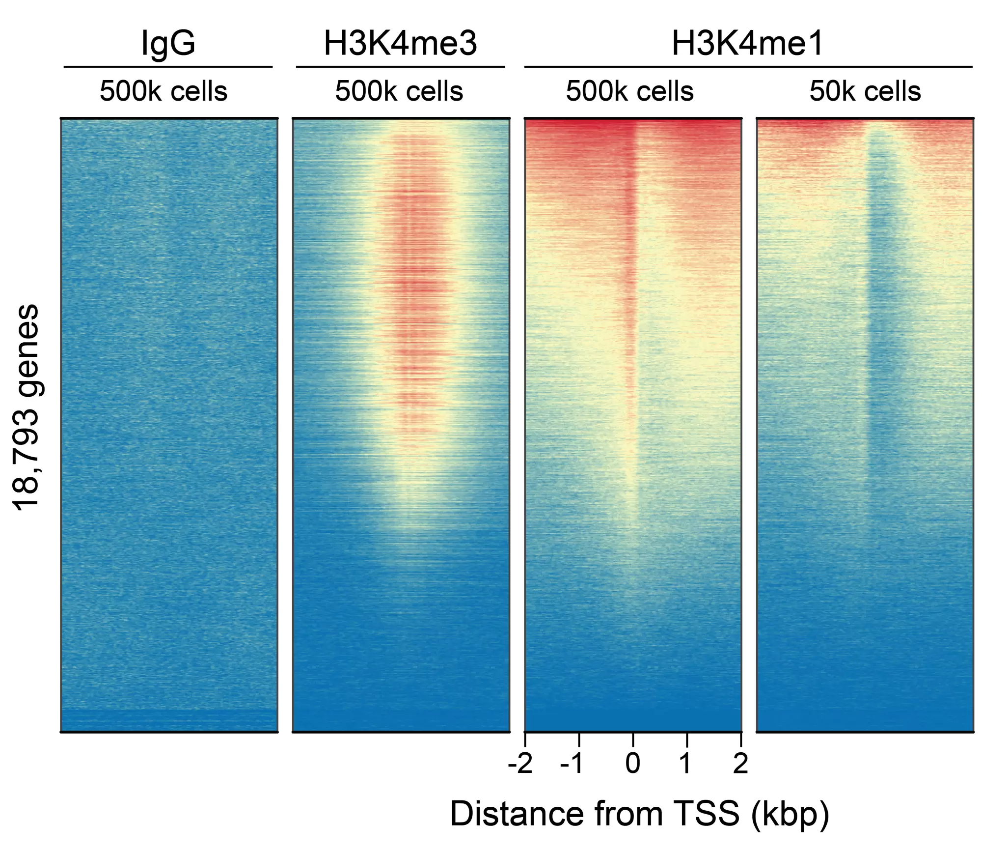 13 0057 Cut Run Genome Wide Enrichment Fig5