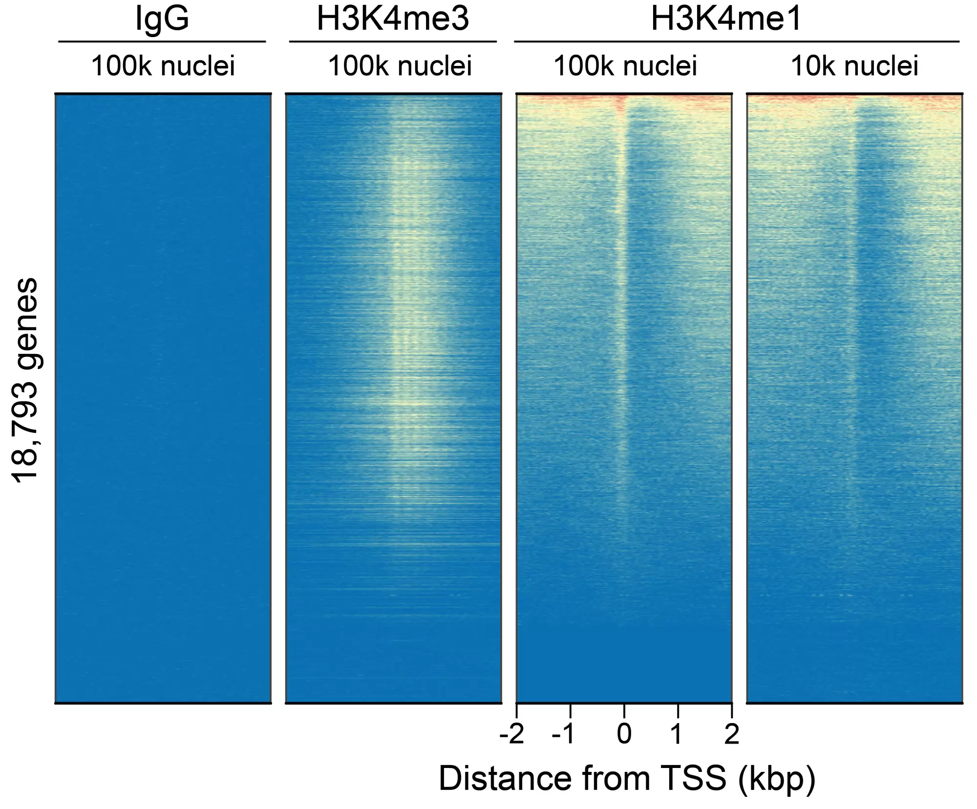 13 0057 Genome Wide Enrichment Fig2