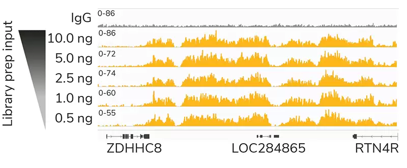 14 1001 Input Dilution 800