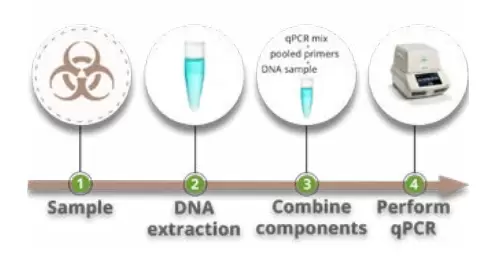 Biotoxis Technology