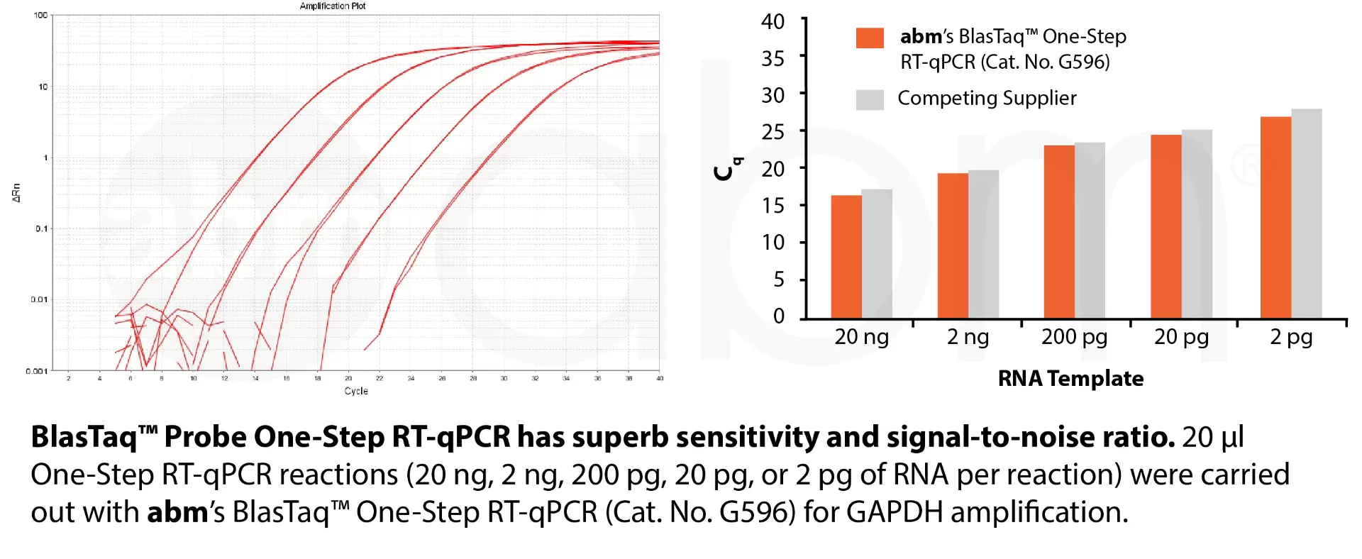 Blastaq Probe One Step Rt Qpcr Data V2 22