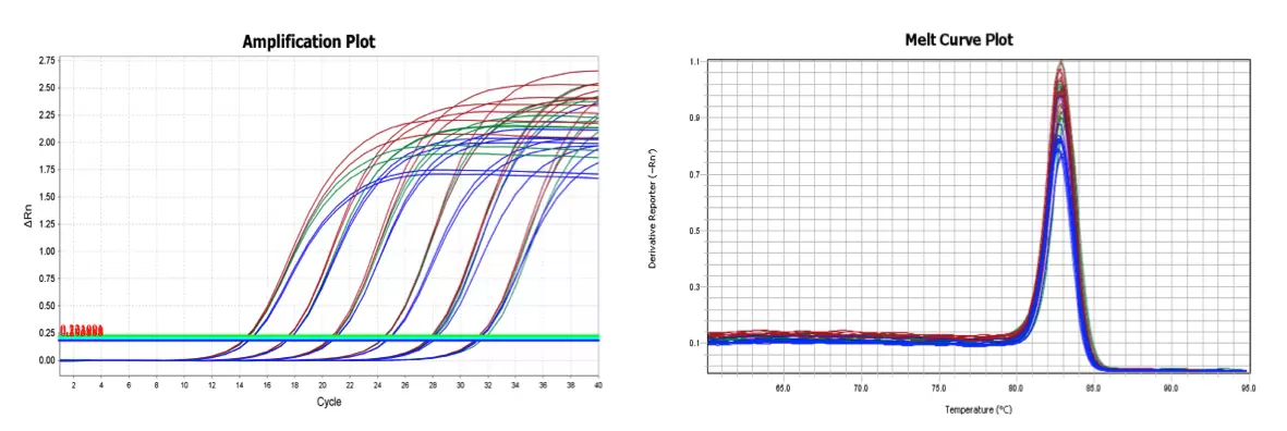 Blazetaq Two Step Rt Qpcr Amplification