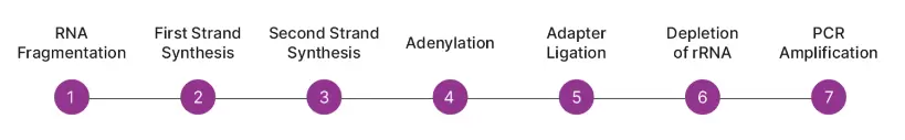 Crisprclean Ribodepletion Workflow 2