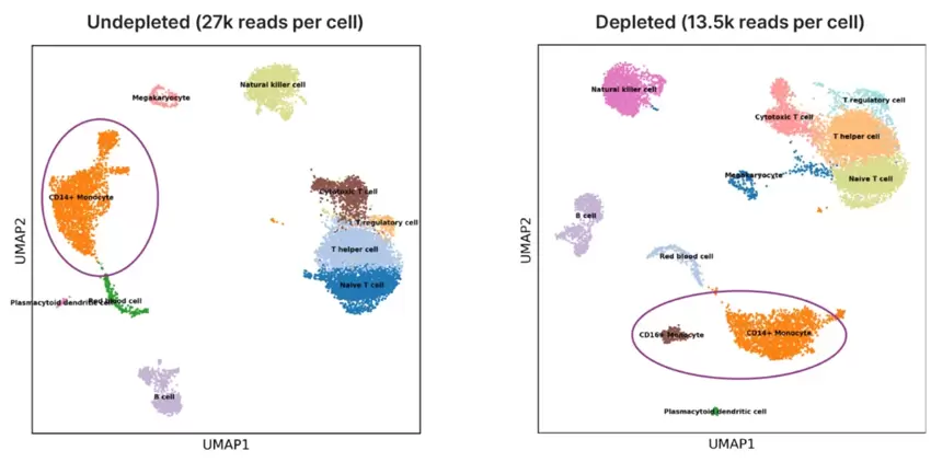 Crisprclean Single Cell Deep View