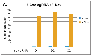 Cvcrc Crispr 2 Vector Tet Inducible Knockout 2000x