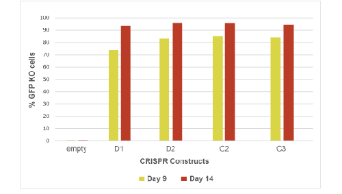 Cvcrc Crispr Copgfp Ko Graph