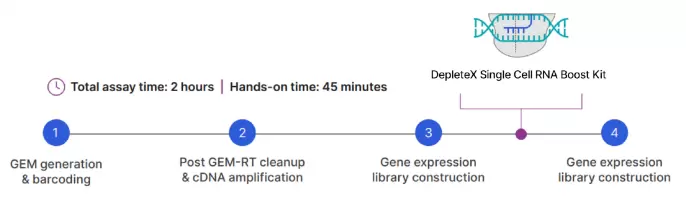 Depletex Boost Workflow